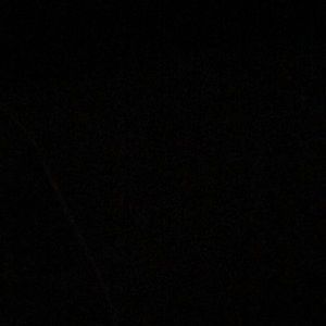 Meet your Posher, Jayden